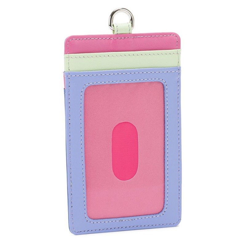 CONTENITORE PORTA CARTE d'identità Portatile Accesso Badge Porta CONTENITORE PORTA CARTE d'identità Portatile Accesso Badge Porta